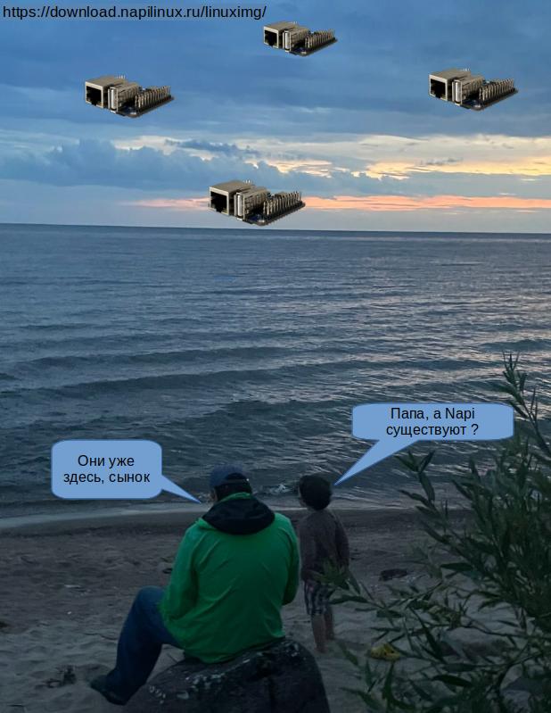 Логотип NAPI
